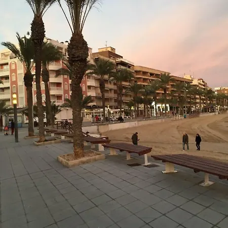 Belgica -nice In La Mata 또레비에하